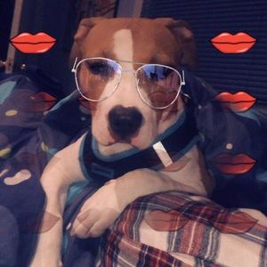 Meet your Posher, Katherine